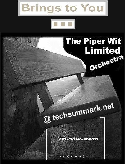 Promo Ad:  The Piper Wit Limited Orchestra  TECHSUMMARK RECORDS