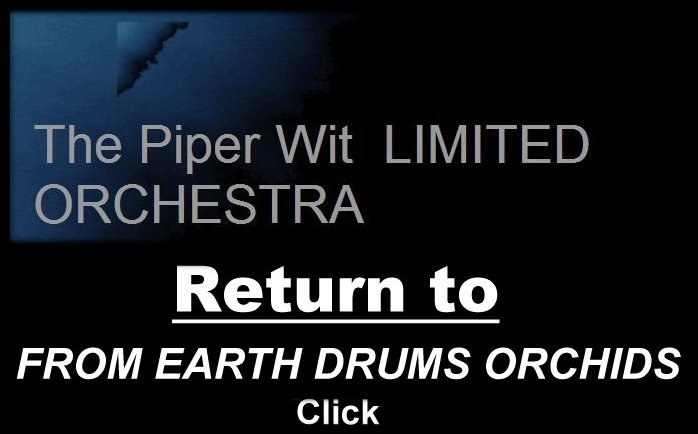 link to return to debut album from earth drums orchids